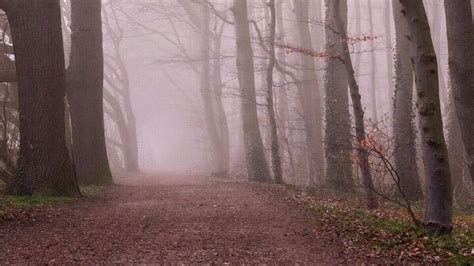 US winter weather alert: NWS warns of dangerous cold, snow squalls ...