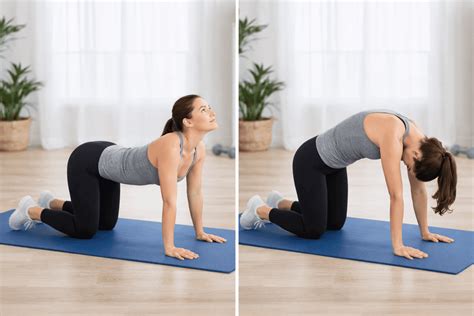 Ćwiczenia na ból pleców – najlepsze i najprostsze przykłady ćwiczeń