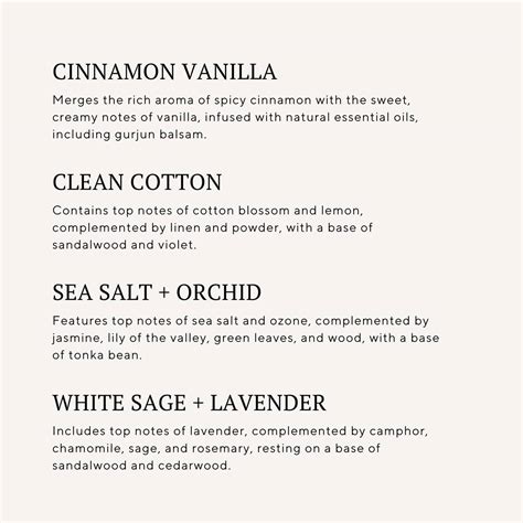 Wholesale Smut Book Lover Ecofriendly Candle Gift #2 for your store - Faire