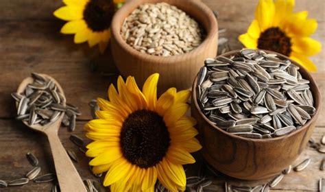 Does eating seeds lower blood pressure levels?