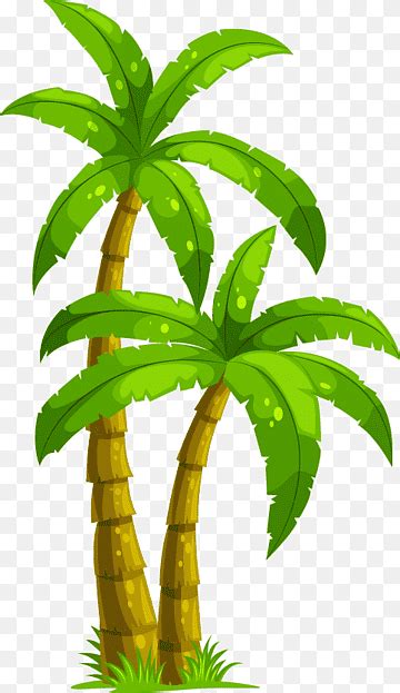 Fresh Cocos Png Images Pngwing