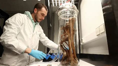 Exercise Protects Brain From Alzheimer’s, Study Finds