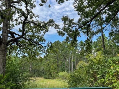 34 Highway 94 Rd, Groveton, TX 75845 [Updated 12/3]