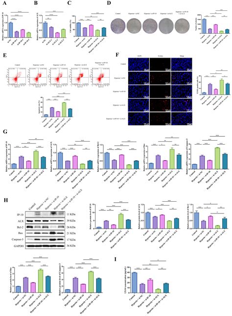 Antagonistic Relationship of Interferon-Inducible Protein 10 and ...