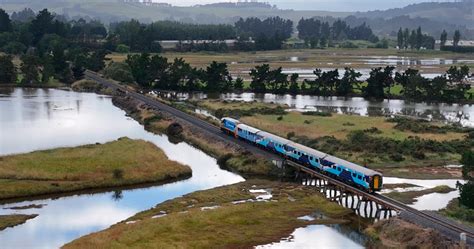 Mainlander Train | Activities & Day Trips in Christchurch - Canterbury ...
