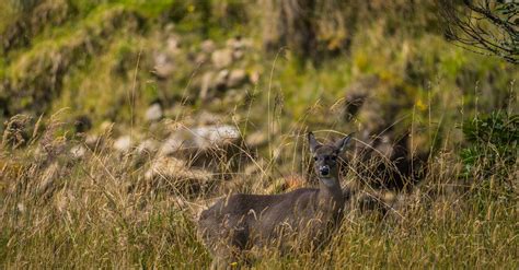 🚀 Nouvelle ère pour la SADC : lancement d’une mission innovante 🌍