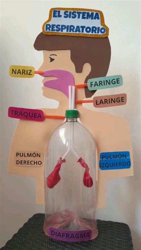 Bazar Para Mujeres Zitácuaro | Buenas tardes, alguien que tenga la ...