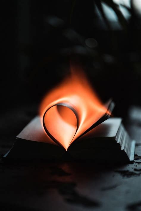 Hypomania LLC | LinkedIn