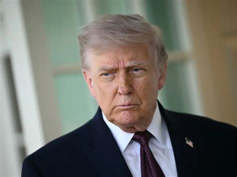 'GREAT IDEA!!! DO IT': Trump floats renaming ICE as NICE as funding ...