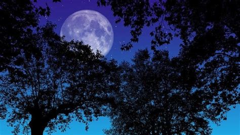 Stargazing like never before: Ultimate Astro Tourism guide in Saudi ...