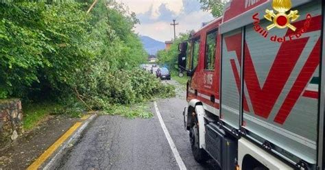 Maltempo Roma, 120 interventi dei Vigili del Fuoco per frane e alberi ...