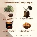 Palm Candy (Palm Crystals)