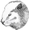 DBeaver Versions - All Available Releases | FileEagle