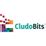 CludoBits IT Solutions - Great Culture & Future Expansion for In ...