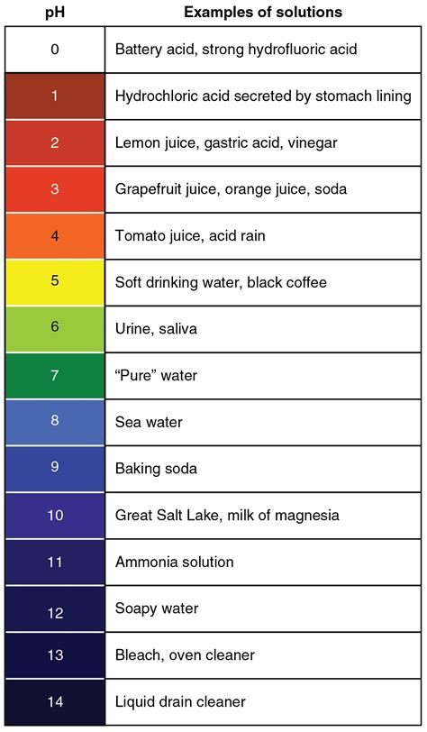 Basic On The Ph Scale