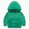 Ccpelsie Baby Boys Hooded Sweatshirt Fleece Pullover Long Sleeve Casual ...