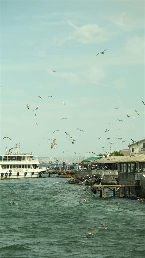 Photo gratuite de amarré, bateau, bateaux, bord de l'eau, calme, ciel ...