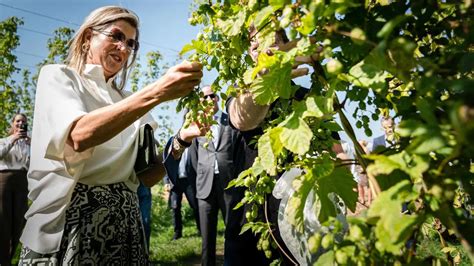 So Dutchie - 🎉🎁 Today is the big day! Sinterklaas has... | Facebook