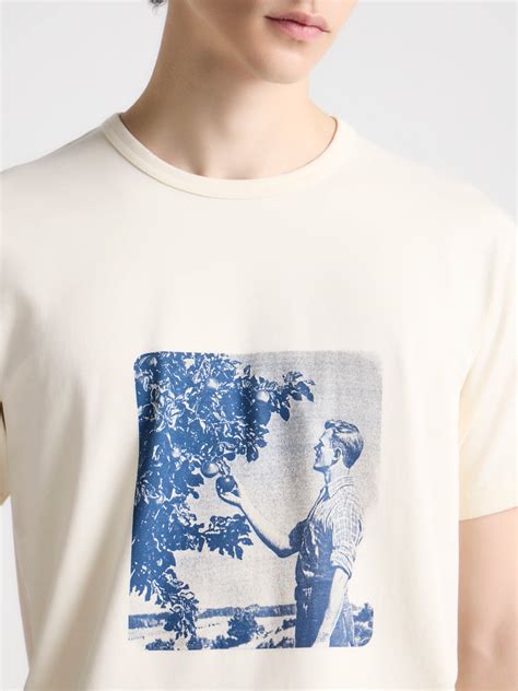 MENS PICKING FRUIT GRAPHIC PRINT T-SHIRT IN ECRU in ECRU ...