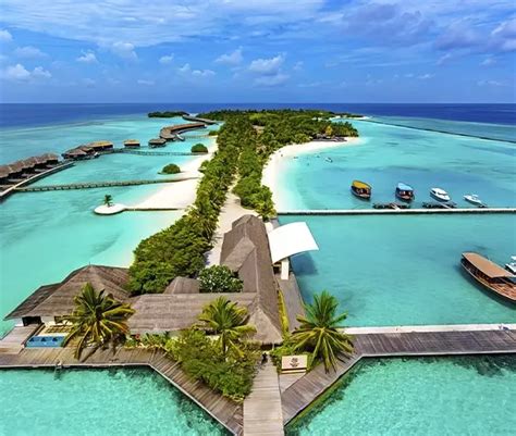 F A A Maldives Webp