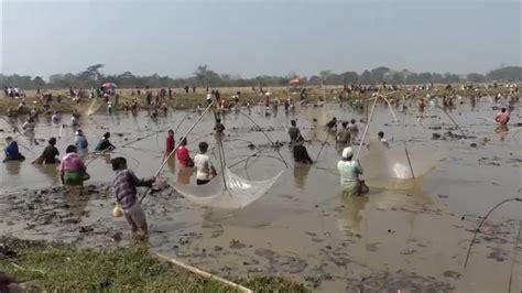 Assam: Traditional fishing festival draws thousands to Dudhnoi’s ...