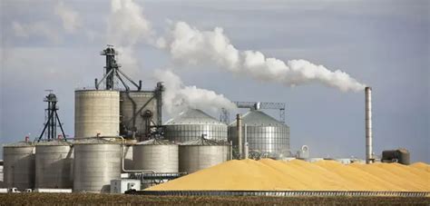 Naphtha Insights: Production, Applications, and Market Outlook - Beston ...