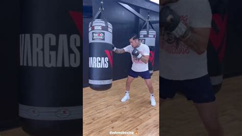 Fernando Vargas Jr., perfecting his craft on heavy bag