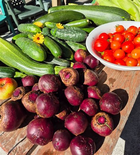 Beginner Organic Vegetable Gardening Workshop , Kaiapoi Community ...