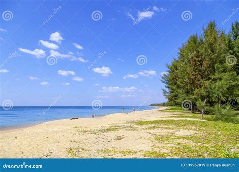 Tropical Beach Sand In Summer Season Beautiful Sea And Clear Blue Sky