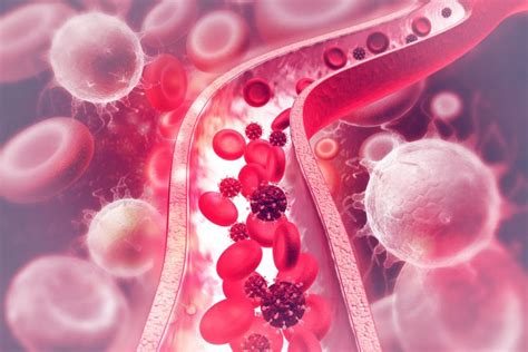 Vascular Endothelial Growth Factorsvegfs Can Prevent Blood Vessel