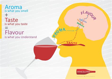 Flavor Definition Psychology at Juan Seifert blog