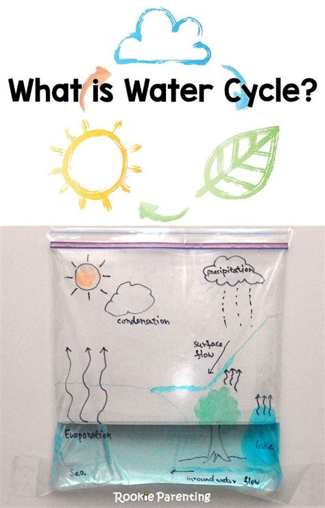 Water Cycle Science Fair Projects Artofit