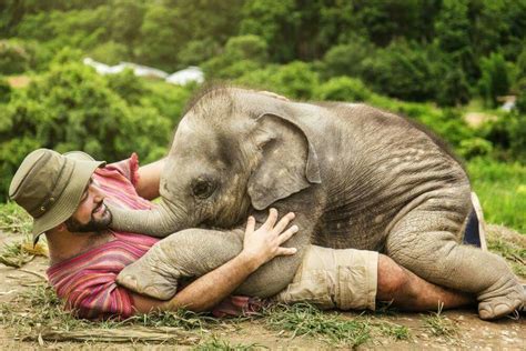 Two People Are Cuddling With An Elephant