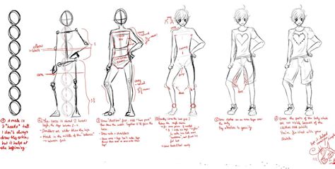 How To Draw Anime Male Body Proportions