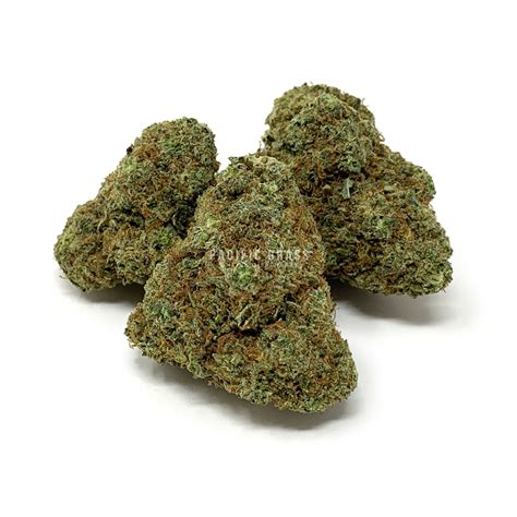 Buy Pre Rolled Romulan Online In Canada Pacific Grass