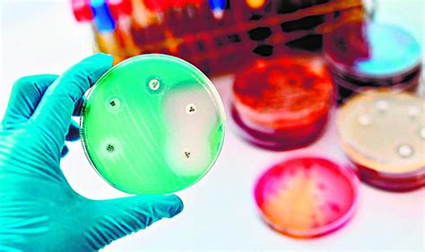 Rising Antimicrobial Resistance Must Be Tackled Quickly The Hindu Businessline