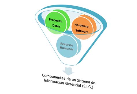 Sistemas De Información Gerenciales Sig Componentes De Un Sistema