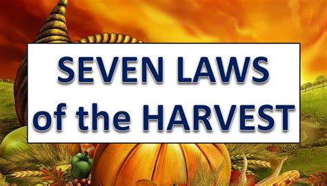 Seven Laws Of The Harvest Rlcc