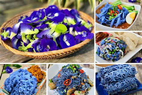 Like the islands in the sea, and standards like a forest, and armour plated in scales, and the feathering of the spears like the bunga lalang. Khasiat Bunga Telang Dan 6 Resipi Homemade Mudah & Sedap ...