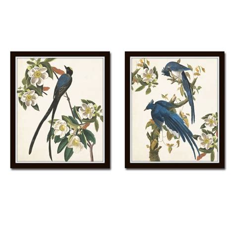 Blue Birds Print Set No 1 Botanical Prints Illustration Etsy Bird