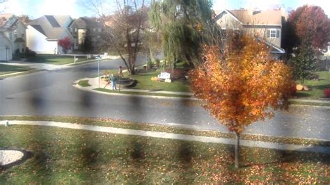 They provide wood for building and pulp for making paper. Neighbor blowing leaves to neighbors lawns. - YouTube