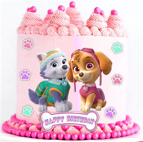 Skye And Everest Paw Patrol Edible Icing Cake Topper Image Etsy