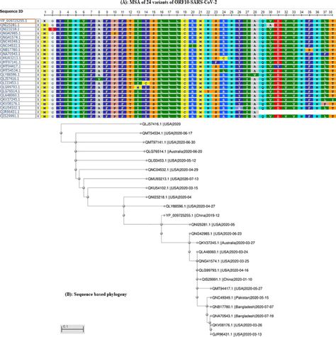 A Multiple Sequence Alignment Msa Of Sars Cov Orf Proteins