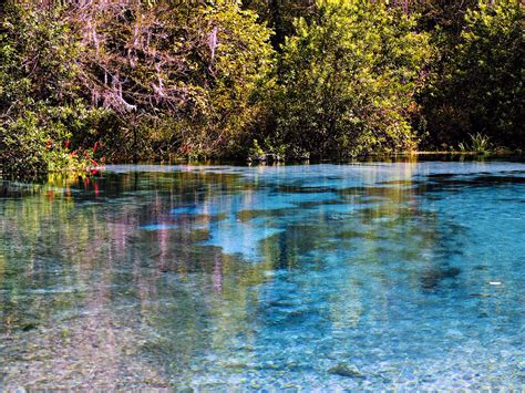 Geological survey) publishes a set of topographic maps of the u.s. Ichetucknee Springs & O'Leno State Parks | Flickr