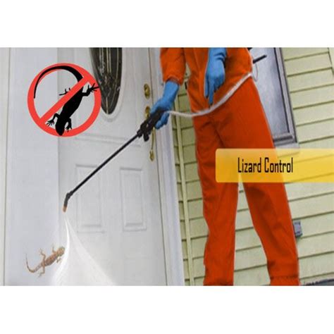 Identifying and fixing such underlying causes. Lizard Control Service, Lizard Controlling Service in India
