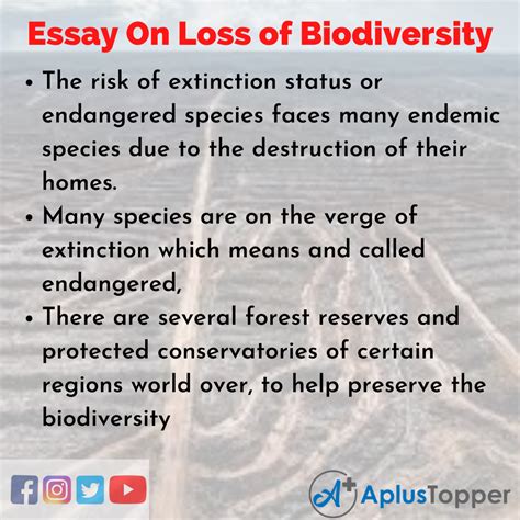 Essay On Loss Of Biodiversity Loss Of Biodiversity Essay For Students