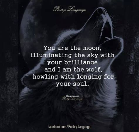 Pin By Bill Dalton On Wolves Wolf Quotes Wolf Moon Quotes