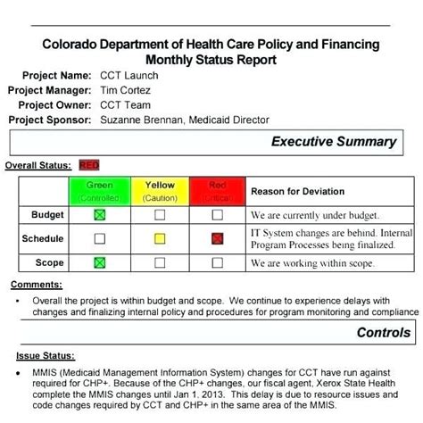 Monthly Status Report Template Project Management 3 Professional