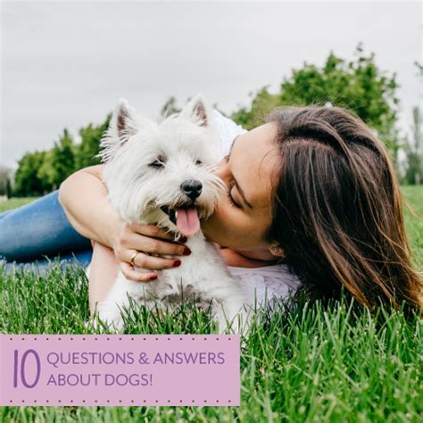10 Questions And Answers About Dogs