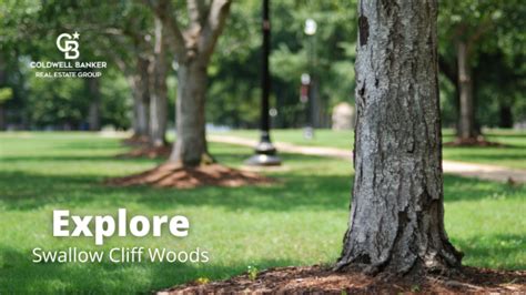 Explore Swallow Cliff Woods Coldwell Banker Real Estate Group